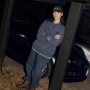 타이어 컬렉션 이미지