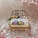 순천 반려동물장례식장 하늘별 이미지