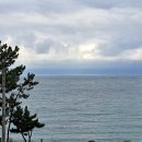 죽변비취모텔 이미지