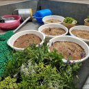 달창경로당 이미지