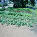 삼삼농장 이미지