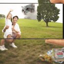 자이언트텔레콤 이미지