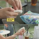 해피존 | 남양주 해피존 애견카페 후기, 강아지 모임 장소로 추천하는 소코아 식당까지