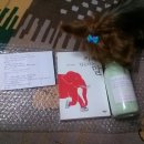 아인바스 이미지