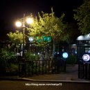 포티올리 이미지