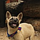 웅비농장 이미지