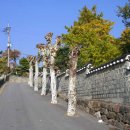 충렬초등학교 네이버블로그