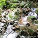 산수황토방