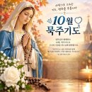 ⛪️ 연중 제28주간 수요일 이미지