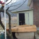 경산주유소 이미지