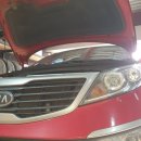 박 CARS 이미지