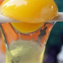 정기1농장 이미지