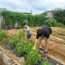 친한농장 이미지