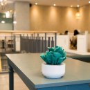 HNP | 엠아이디자인 미니가습기 HNP-0016 후기