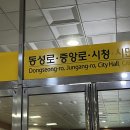 혼자 대구여행
