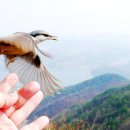 재롱이네 이미지