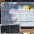 여행정보서비스 | 서울 근교 당일치기 맛집 태안 여행 연옥당 웨이팅 정보 연잎밥 가격 후기