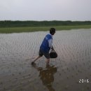 황소 농장 이미지