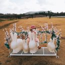 드르쿰다 이미지