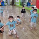 덕승태권도 이미지