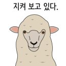 용반점 이미지