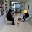 강아지 정거장 이미지