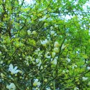 서탄초등학교 이미지