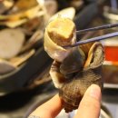 조게찜터 네이버블로그
