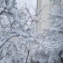 양지-2732 이미지