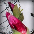 기다리는 마음 이미지