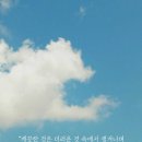 돈사냥