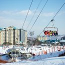 곤지암리조트 세계일보