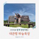 발산목장 | 대관령 하늘목장 13개월·33개월 아이와 함께한 트랙터마차 탑승 솔직후기 (안내도/유모차이용/정상...