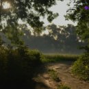 황금고시원