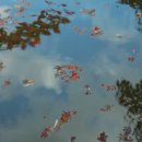 아트테라피 이미지