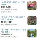 메이즈랜드 네이버블로그