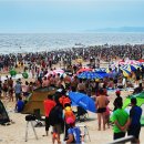 대천해수욕장 이미지