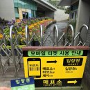 돌미로 | [제주/이색체험]아이와 함께 가볼만한 곳 미로탈출 메이즈랜드 방문후기