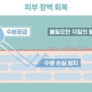 리바이브