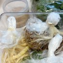 반듯한 찬 이미지