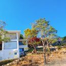 진산골프연습장 이미지