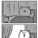디데이꽃화원