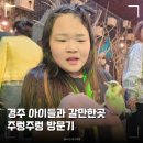 먹고놀개 | 경주가볼만한곳 고민이라면? 아이들과 함께 경주놀만한곳 주렁주렁 방문기