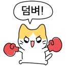 강남선물가게