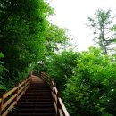 장태산휴양림 이미지