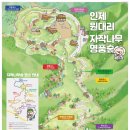 인제 관광안내소 이미지