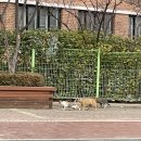 신고속주유소 이미지