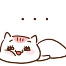 킴리동물병원 이미지