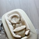 럭키세탁 | 출산준비, 당근으로 득템한 싸이벡스 레모 뉴본, 세탁하고 아가 만날 준비 완료!