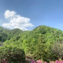 지리산물푸레흙집펜션 | * 하동 - 지리산흙집세상